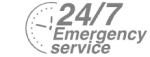 24/7 Emergency Service Pest Control in South Stifford, West Thurrock, RM20. Call Now! 020 8166 9746