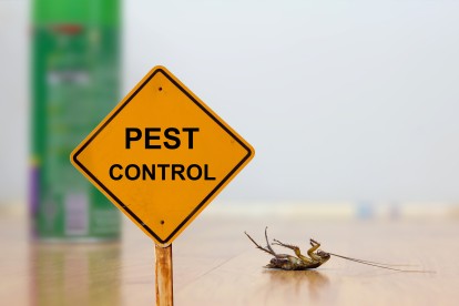 Pest Contol in South Stifford, West Thurrock, RM20. Call Now 020 8166 9746